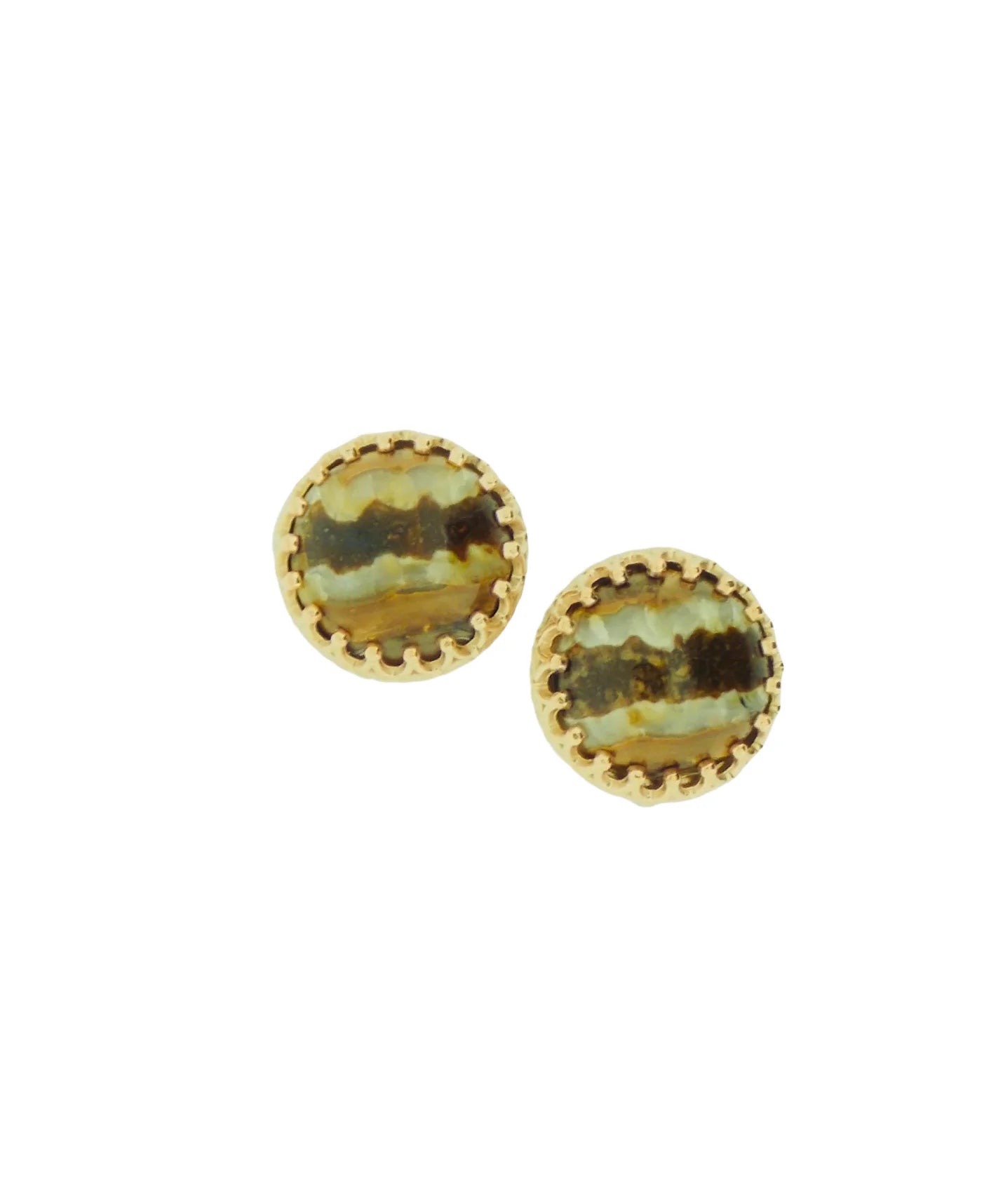 Fossilized Brown Hue Woolly Mammoth Studs